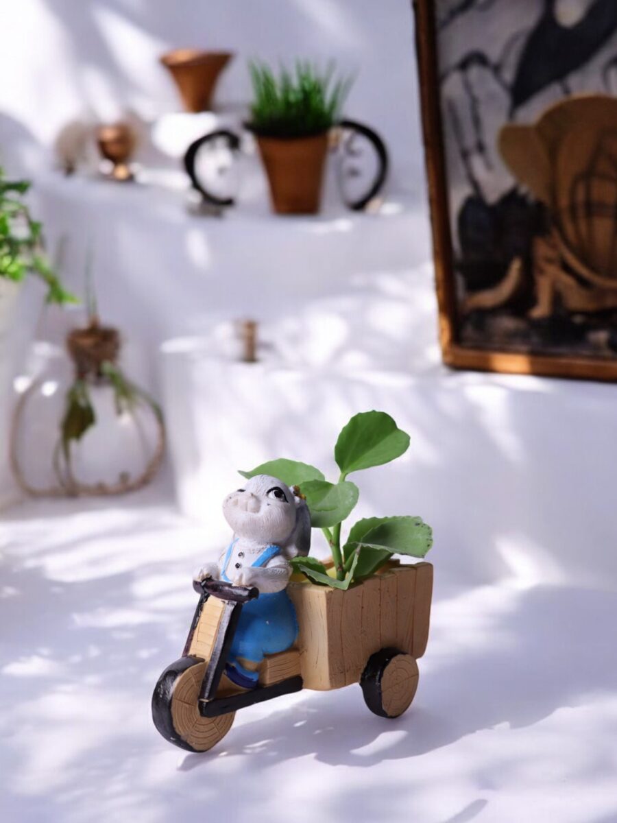 Bunny Cycle Planter