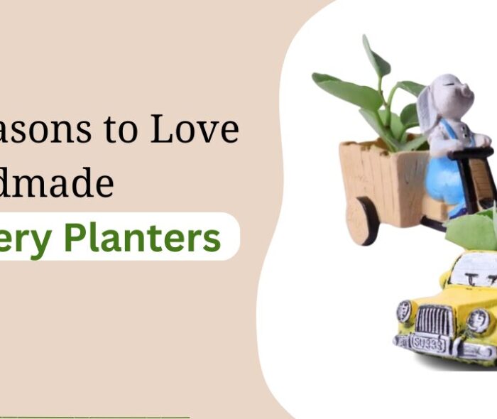5 Reasons to Love Handmade Pottery Planters